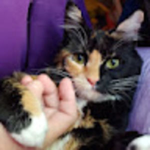 Meet your Posher, Cathleen